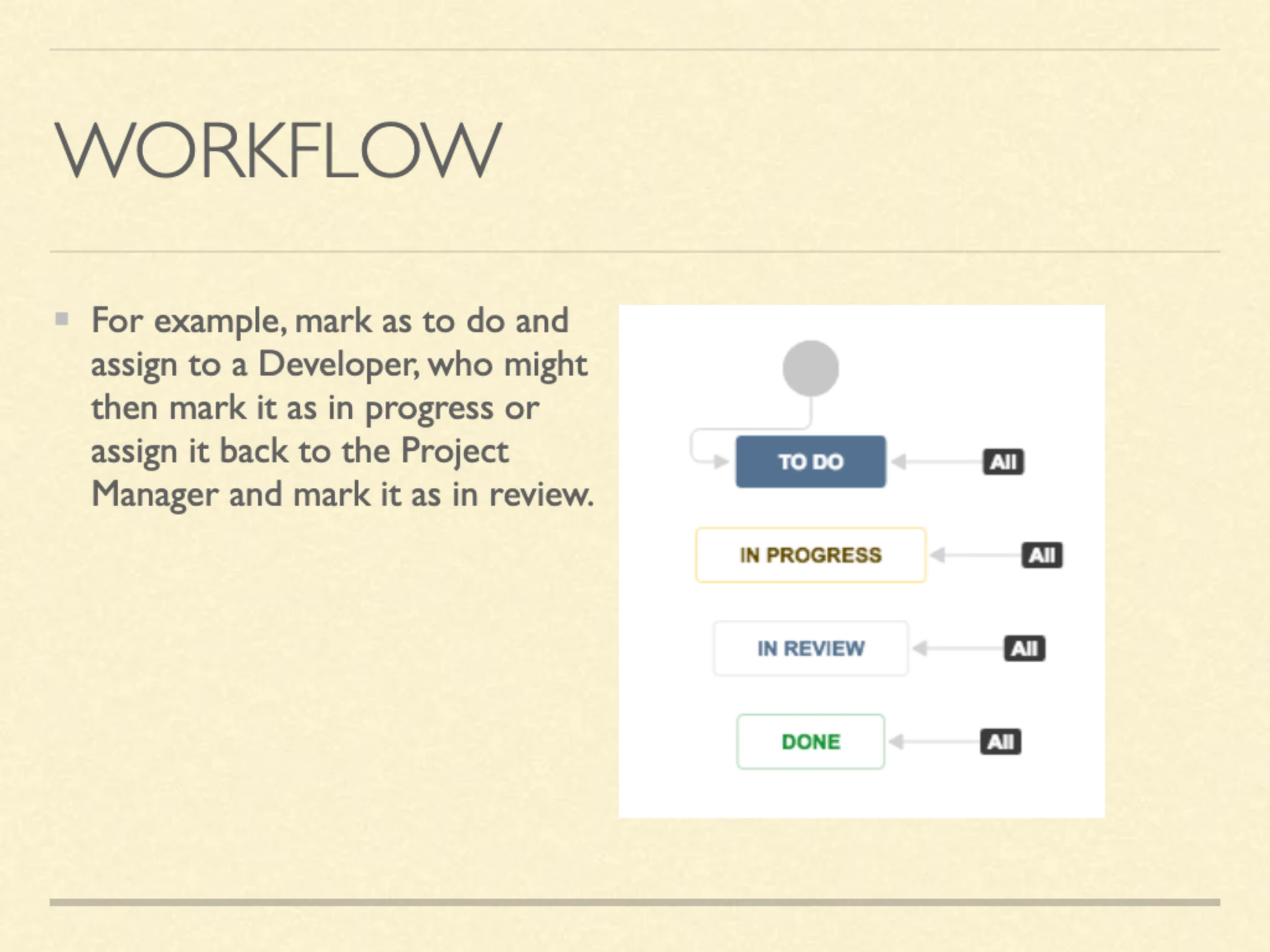 Slide 6: Workflow
