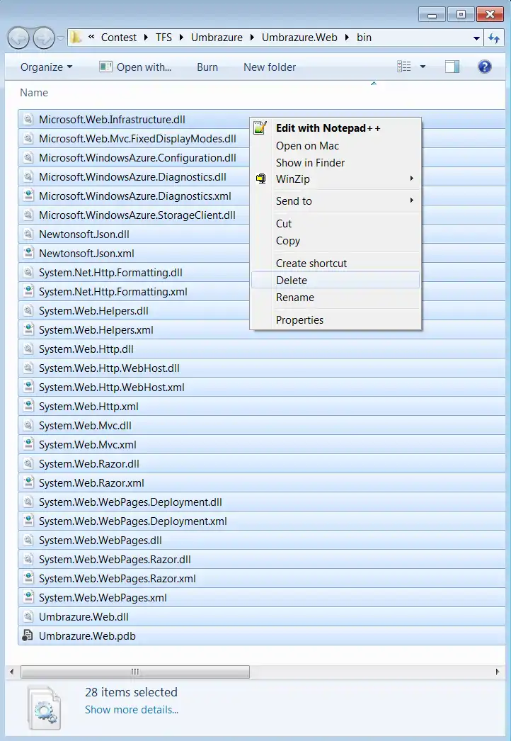 Delete Project Bin Contents