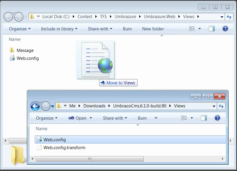 Replace View Web Config