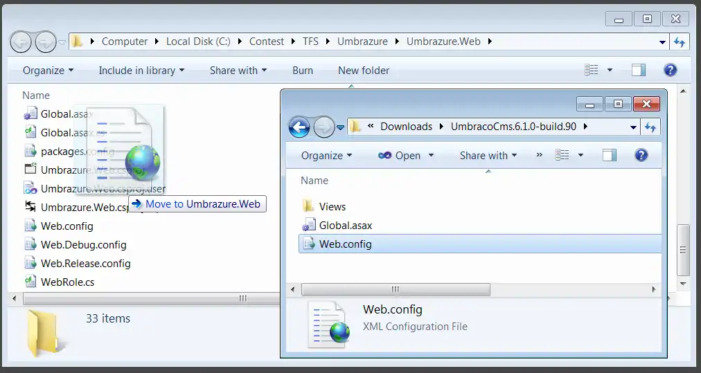 Replace Web Config